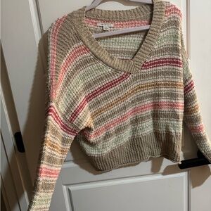 American Eagle Outfitters V-Neck Sweater in Earthy Tones